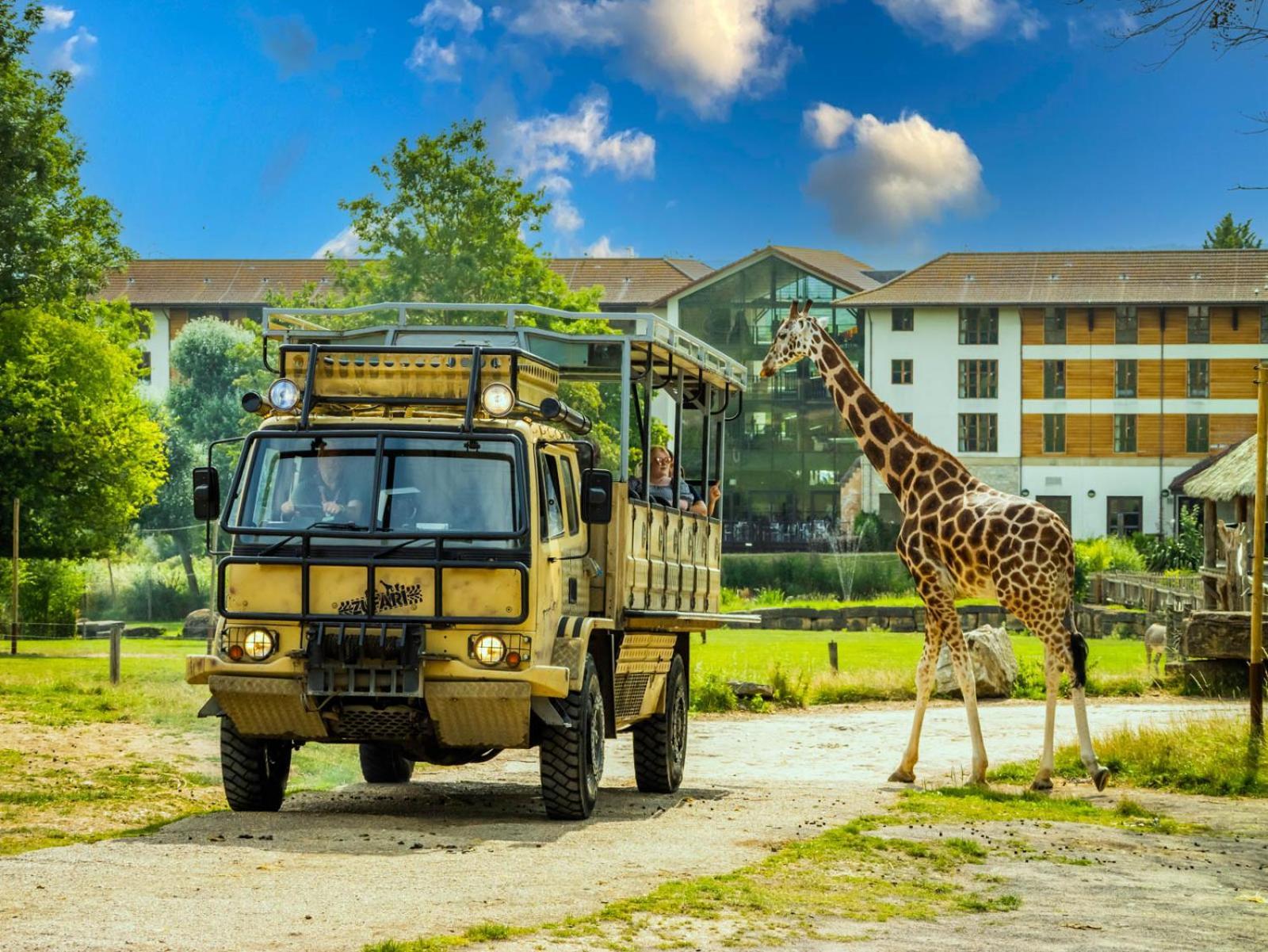 Safari Hotel 4*