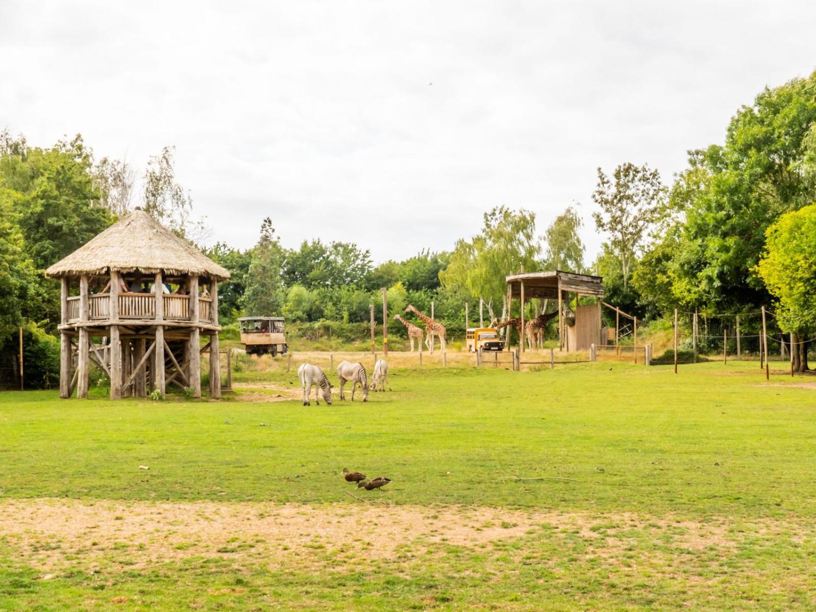 Safari Chessington